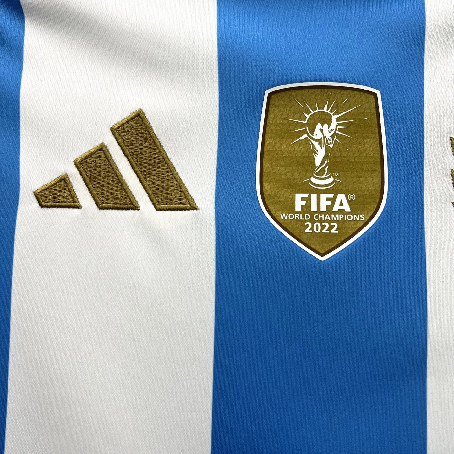 Maillot Argentine Domicile 2024/2025 - Totalkits